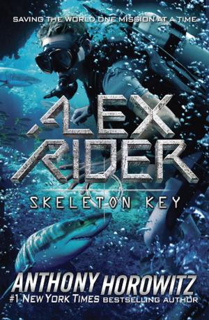 Book cover of Skeleton Key