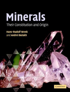 Cover of the book Minerals by Pauline Jones Luong, Erika Weinthal