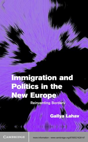 bigCover of the book Immigration and Politics in the New Europe by 