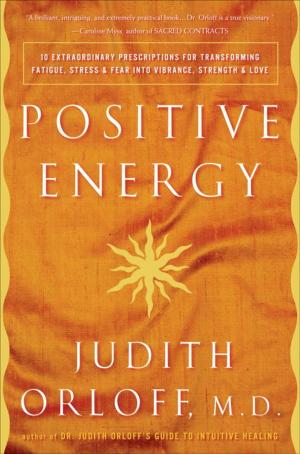 Cover of the book Positive Energy by Mkambanizithe Daka