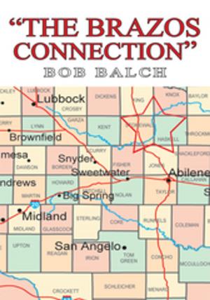 Cover of the book "The Brazos Connection" by R.C. Beale