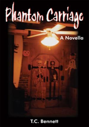 Cover of the book Phantom Carriage by May'lon Miranda