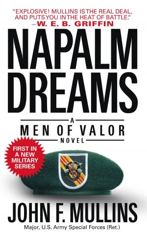 Cover of the book Napalm Dreams by A. Royden D'souza