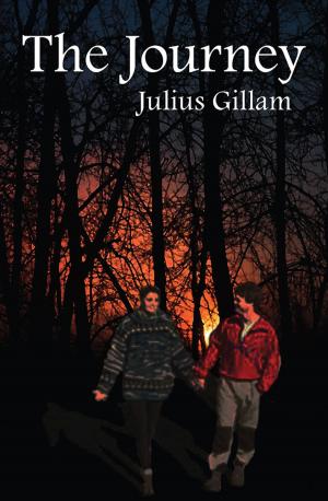 Cover of the book The Journey by Brian Paulus