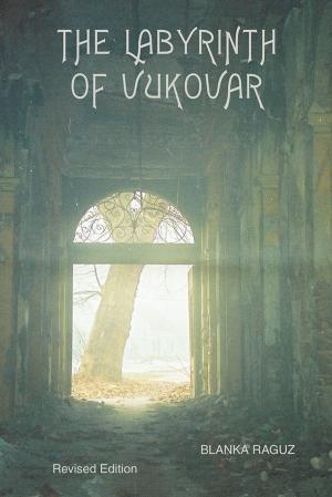 Cover of the book The Labyrinth of Vukovar by Jim Flanagan