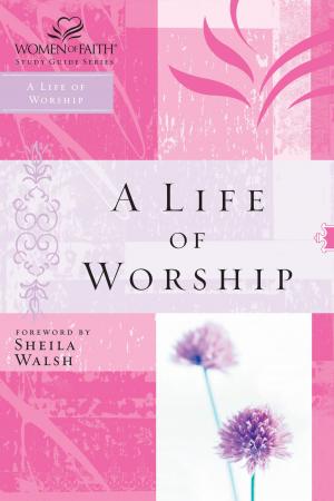 Cover of the book A Life of Worship by Liz Tolsma