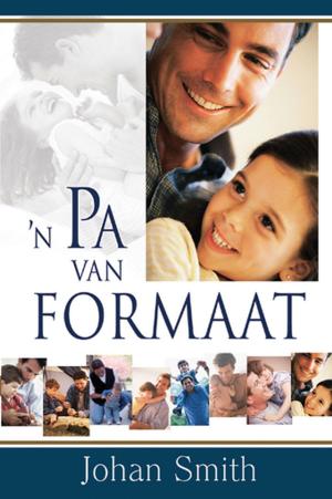 Cover of the book n Pa van formaat (eBoek) by Rob Teigen, Joanna Teigen