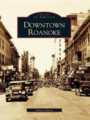 Cover of the book Downtown Roanoke by Shanna Farrell, Jon Santer, Vaughan Glidden