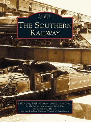 Cover of the book The Southern Railway by Robert Loewendick