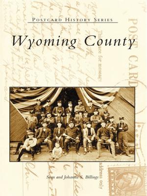 Cover of the book Wyoming County by Jane S. McAllister, Debra Dotson