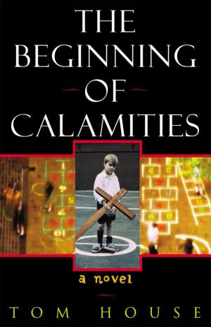 Cover of the book The Beginning of Calamities by Rosemary Aubert