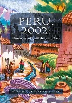 Cover of the book Peru, 2002: Memoirs of a Writer in Peru by Paul Krebill