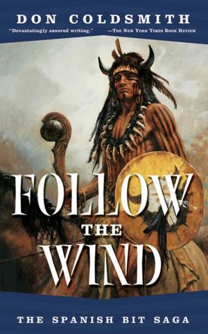 Cover of the book Follow The Wind by David Hagberg
