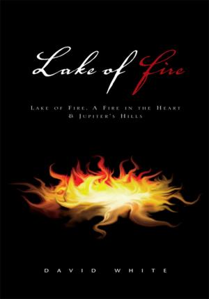 Cover of the book Lake of Fire by Delia Delia