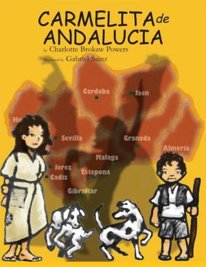 Cover of the book Carmelita De Andalucia by Darrell Abdullah Kirk