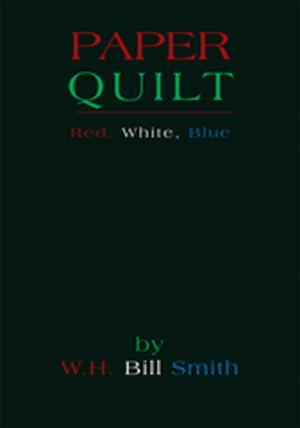 Book cover of Paper Quilt