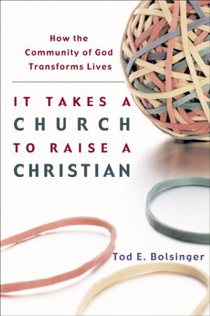 Cover of the book It Takes a Church to Raise a Christian by Robert K. Johnston