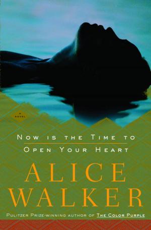 Cover of the book Now Is the Time to Open Your Heart by Alison Weir