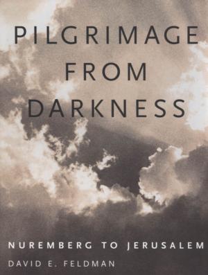 Cover of the book Pilgrimage from Darkness by Ph.D., Angela J. Koestler, M.D., Ann Myers