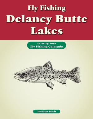 Cover of the book Fly Fishing Delaney Butte Lakes by Brian Grossenbacher, Jenny Grossenbacher