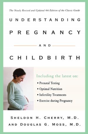 Cover of the book Understanding Pregnancy and Childbirth by D.S. Feingold, Deborah Gordon