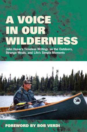 Cover of the book A Voice in Our Wilderness by Pounding the Rock