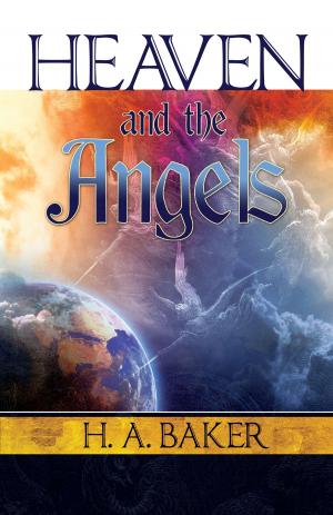 Cover of the book Heaven and the Angels by Reinhard Bonnke