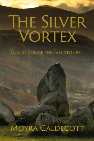 bigCover of the book The Silver Vortex by 