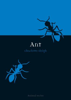 Cover of the book Ant by Desmond Morris