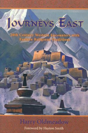 Cover of the book Journeys East by William Stoddart