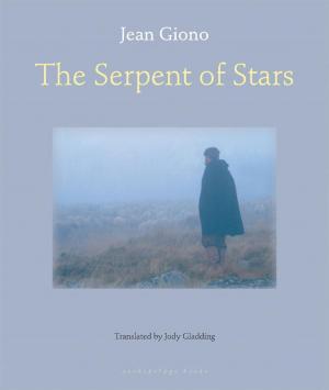 Cover of the book The Serpent of Stars by Robert Musil