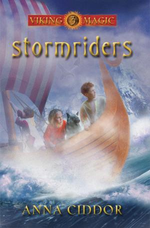 Cover of the book Stormriders by Stefanie Lewis