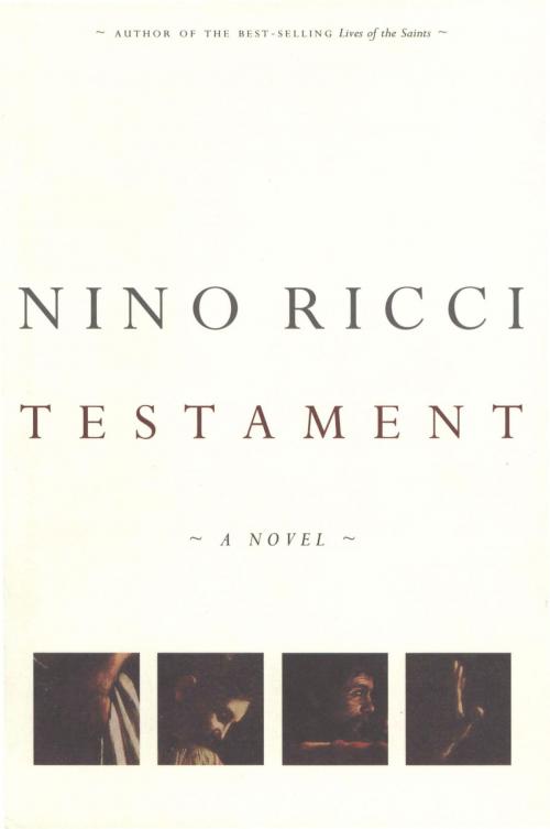 Cover of the book Testament by Nino Ricci, HMH Books
