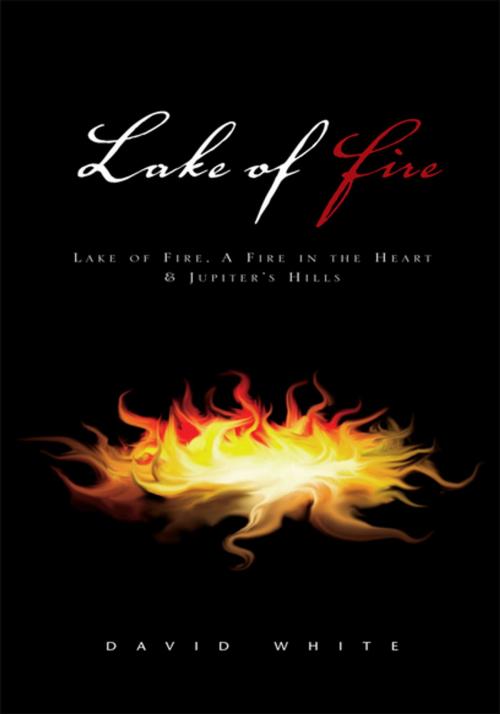 Cover of the book Lake of Fire by David White, Xlibris US