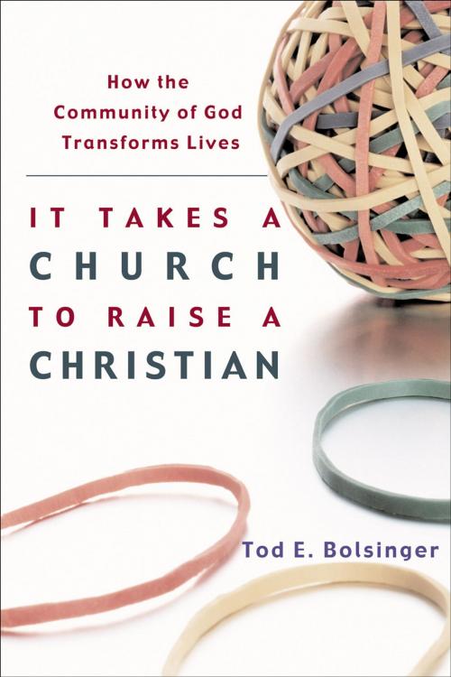 Cover of the book It Takes a Church to Raise a Christian by Tod E. Bolsinger, Baker Publishing Group