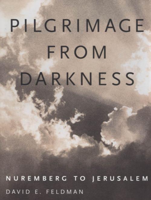 Cover of the book Pilgrimage from Darkness by David E. Feldman, University Press of Mississippi
