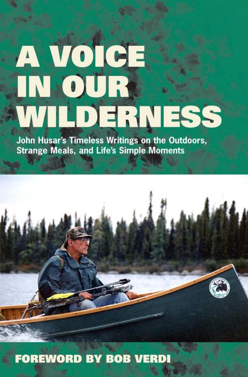 Cover of the book A Voice in Our Wilderness by John Husar, Triumph Books