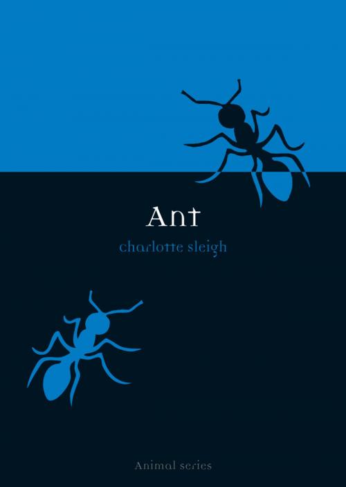 Cover of the book Ant by Charlotte Sleigh, Reaktion Books