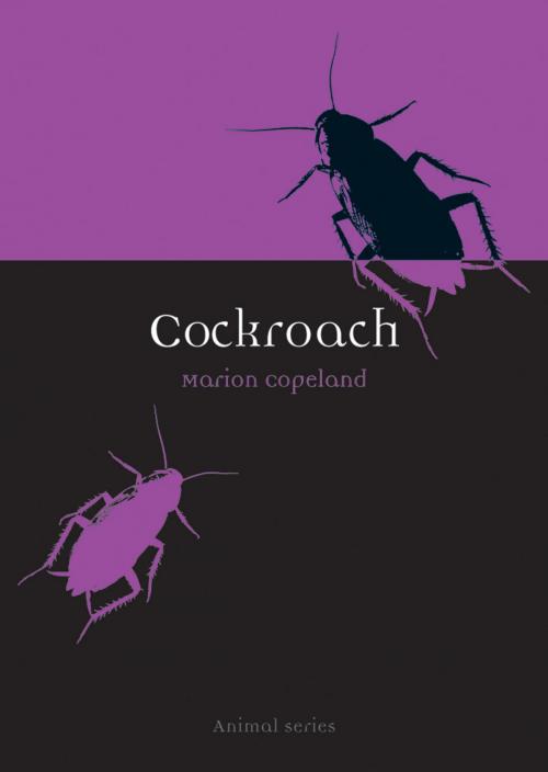 Cover of the book Cockroach by Marion Copeland, Reaktion Books