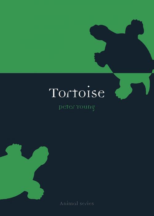 Cover of the book Tortoise by Peter Young, Reaktion Books