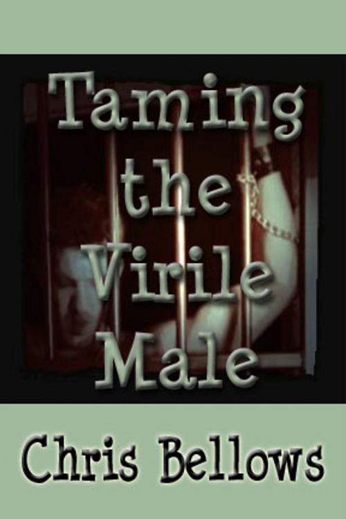 Cover of the book Taming The Virile Male by Chris Bellows, Pink Flamingo Publications