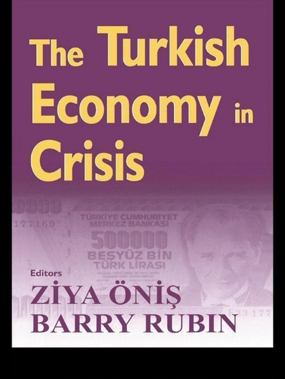 Big bigCover of The Turkish Economy in Crisis