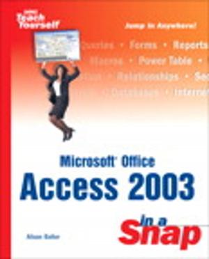 Cover of the book Microsoft Office Access 2003 in a Snap by Steven Director, Wayne Cascio, John Boudreau