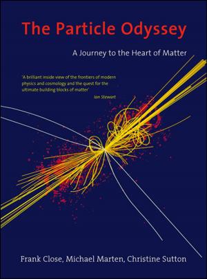 Cover of the book The Particle Odyssey by Aruna Nair