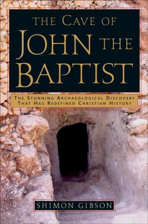 Cover of the book The Cave of John the Baptist by Steven Furtick