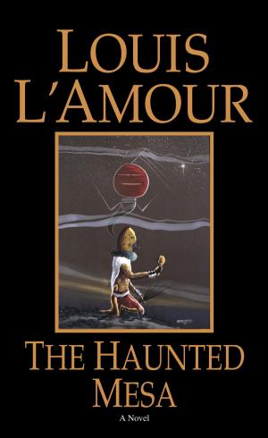 Cover of the book The Haunted Mesa by L N T Annan