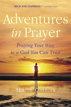 Cover of the book Adventures in Prayer by Steve Cash