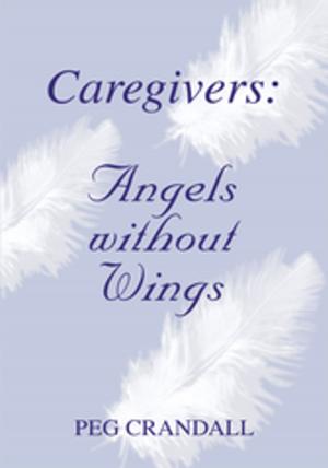 Cover of Caregivers: Angels Without Wings