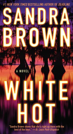 Cover of the book White Hot by Jason Zweig