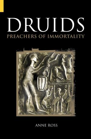 Cover of the book Druids by Brian Belton